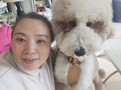 -大班家政月嫂育儿嫂(总部店)