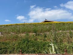 -天河潭旅游度假区