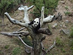 -宁波野生动物园