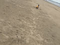 -万尾金滩