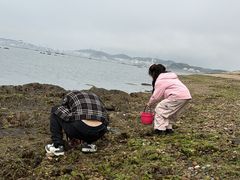-大长山岛