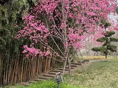-凤城河风景区