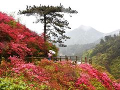 -木兰云雾山
