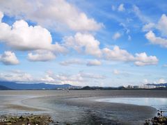 -深圳湾公园(南山区)