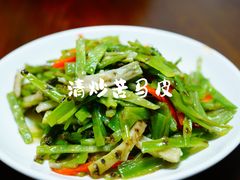 清炒苦马皮-畲乡一品鱼府土菜馆