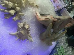 -云海轩·海鲜自助-河北云瑧世纪大饭店1F