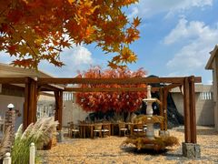 -Blue Concept Cafe&Farm·關於藍
