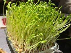 -罗勒家·养生火锅· Bistro(大望路店)