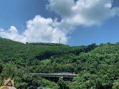 -西双版纳原始森林公园