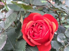 -人民公园(罗湖区)