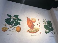 -Buonissimo(佛罗伦萨小镇店)