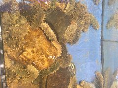 -山东八大碗山东老字号