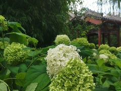 -月坛公园