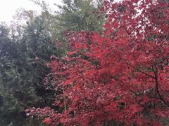 -西安关中民俗艺术博物院