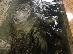 -荣德灶台鱼(圣泉寺店)