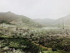 -大冬树山垭口