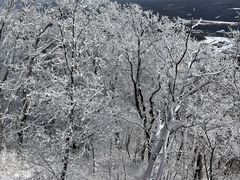 -长白山万达锦华套房酒店