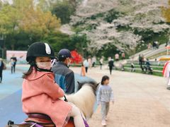 -杭州少年儿童公园