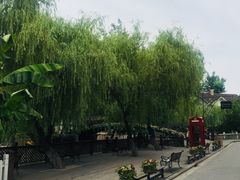 -金庭庄园酒店-停车场