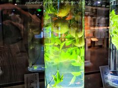 -广东中医药博物馆