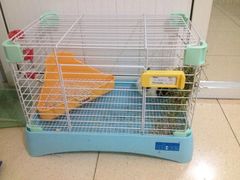 -宠物兔专门店(天丰利市场店)