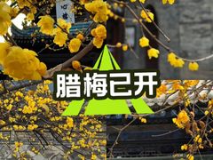 -西安化觉巷清真大寺