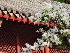 -隆兴寺