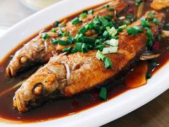 -品雅轩农家乐