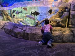 -沈阳海洋探索中心