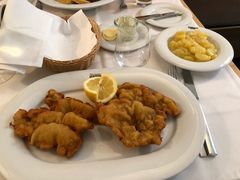 维也纳炸猪排-Plachuttas Gasthaus zur Oper