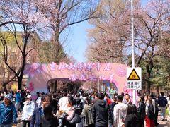 -吉林大学(南岭校区)