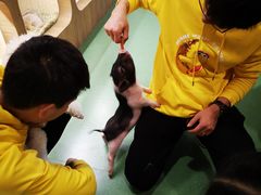 -藦茜花园宠物主题亲子互动体验馆(国顺东路店)