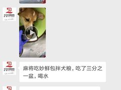 -艾贝尔宠物医院·24H转诊中心·肿瘤猫专科(江宁双龙店)