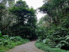 -番禺大夫山森林公园