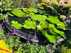 -西湖外事游船(湖滨二公园外事游船码头)