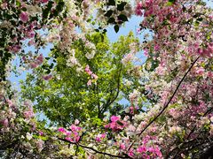 -深圳国际园林花卉博览园