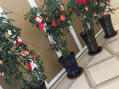 -天天渔港(杏林街店)