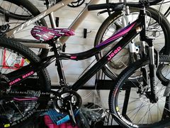 -道路口单车爱瓦士dahon大行