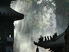 -普陀山慧济禅寺