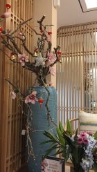 -一本X目奈子日式单根美睫专业店