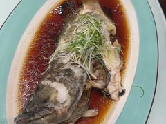 石斑鱼-一品滇香·云南菜(公益西桥店)