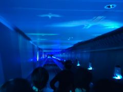-白鹤梁水下博物馆