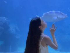 -左海海底世界