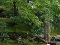 -奈良公园