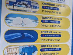 -秦皇岛乐岛海洋王国