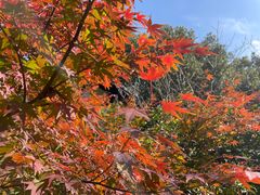 -中国茶叶博物馆(双峰馆区)