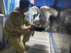 -成都浩海立方海洋公园