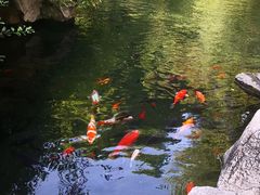 -趵突泉景区