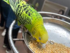 -正佳雨林生态植物园