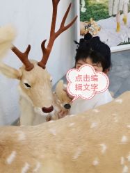 -雅尼·亚米儿童摄影美学馆(汉阳店)